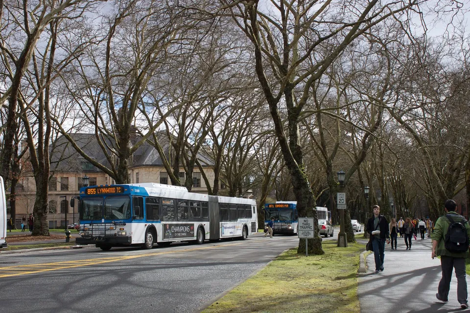 Community Transit buses at the University of Washington, Seattle.